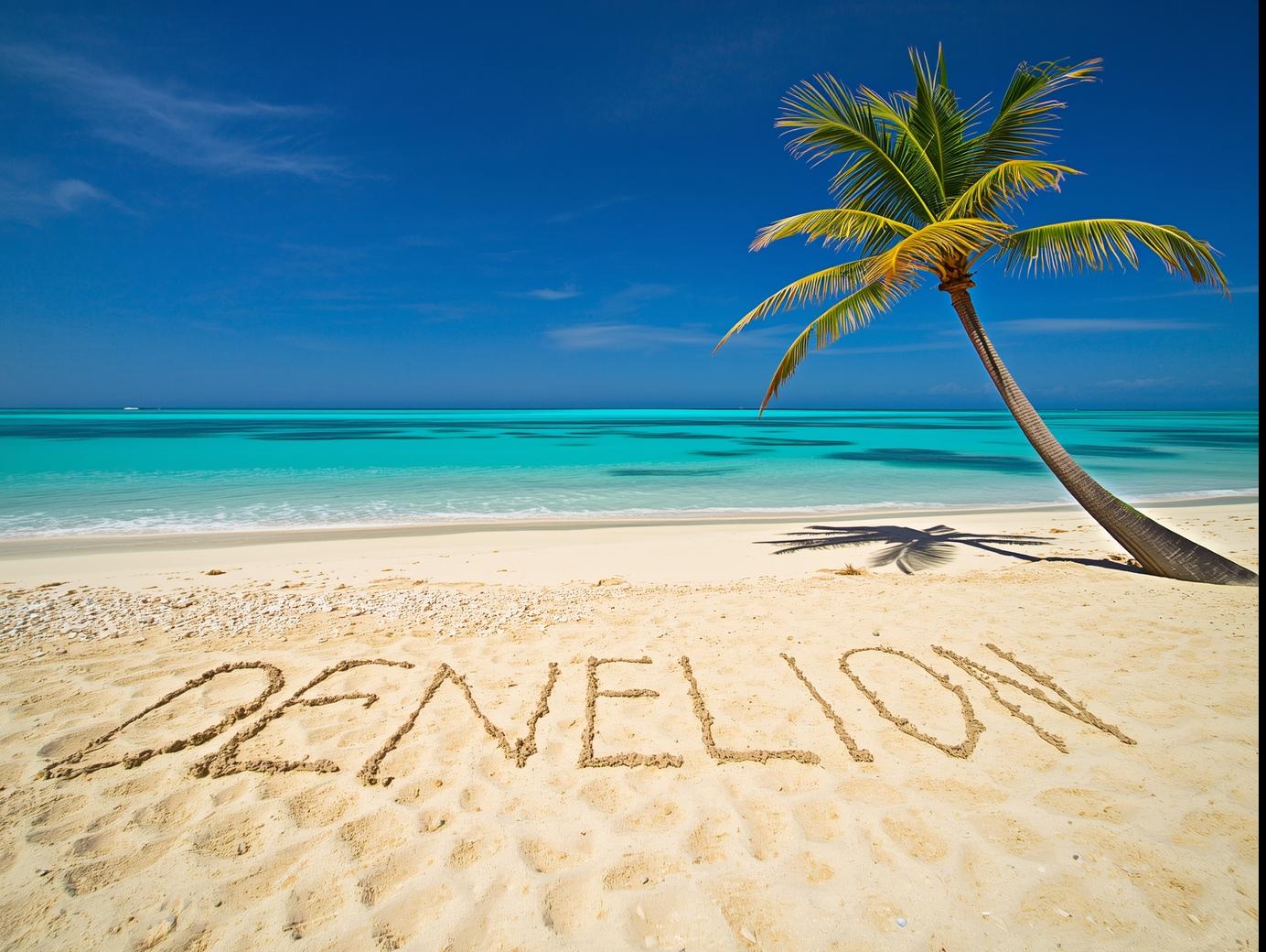 DENELION written on the beach